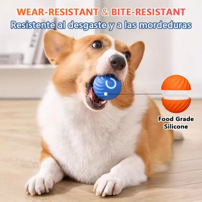 Automatic Rolling Jumping Ball Dog Toy - USB Rechargeable, Interactive Chew Ball for Dogs &amp; Cats