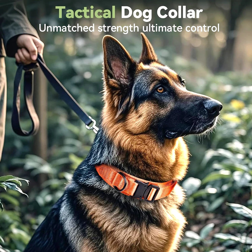 Tactical Dog Collar with Handle – Adjustable Military Nylon Collar for Medium &amp; Large Dogs