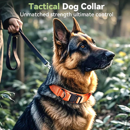 Tactical Dog Collar with Handle – Adjustable Military Nylon Collar for Medium &amp; Large Dogs