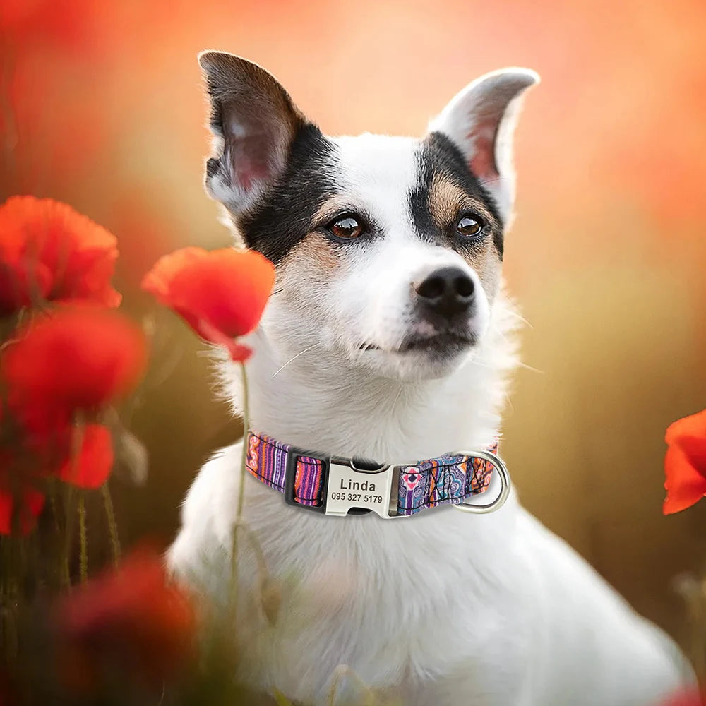 Nylon Dog Collar - Personalized Custom Engraved ID Tag &amp; Nameplate Buckle for Small, Medium &amp; Large Dogs