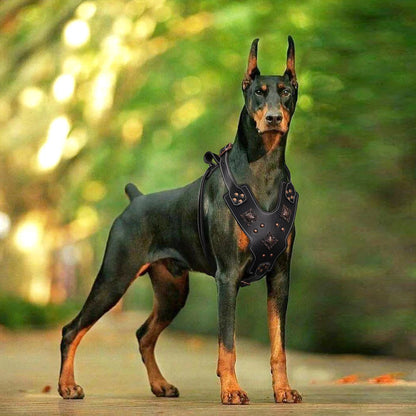 Genuine Leather Dog Harness – Durable Riveted Training Vest with Metal Hardware for Medium &amp; Large Dogs