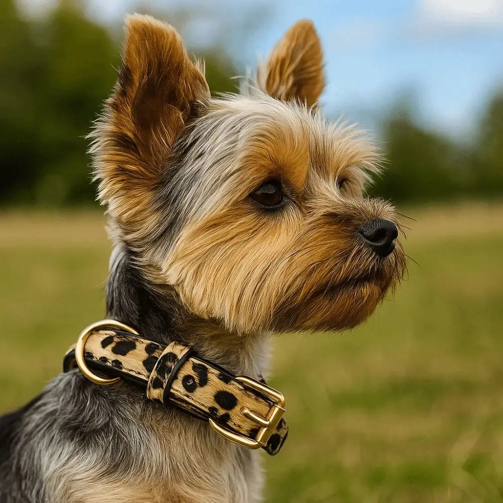 Trendy Leopard Print Dog Collar – Wear-Resistant PU Leather, Adjustable Pet Collar for Small & Medium Dogs