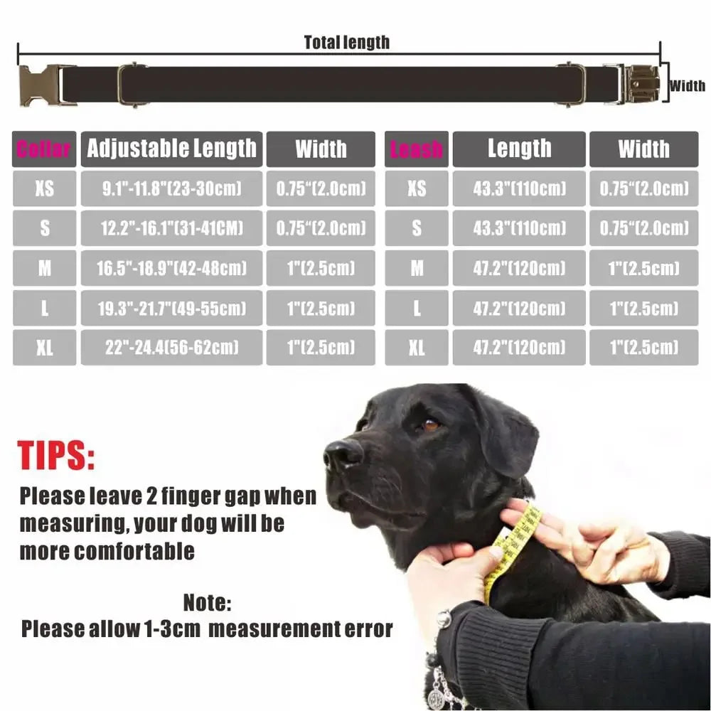 Personalized Dog Collar with Free Engraving – Purple Bubble Design