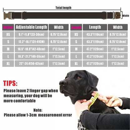 Personalized Dog Collar with Free Engraving – Purple Bubble Design