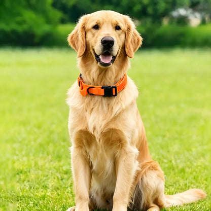 Tactical Dog Collar with Handle – Adjustable Military Nylon Collar for Medium &amp; Large Dogs